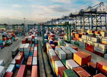 青島到廣州黃埔集裝箱海運