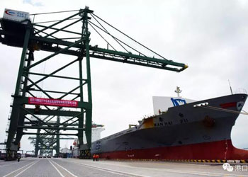 青島到福州集裝箱海運