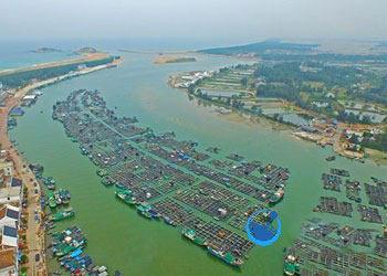 青島到和樂集裝箱內(nèi)貿(mào)海運(yùn)物流代理服務(wù)