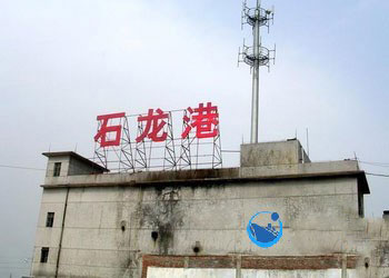 青島到龍溪集裝箱內(nèi)貿(mào)海運(yùn)物流代理服務(wù)